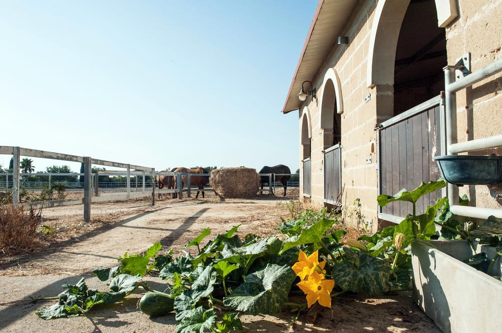 Amaregold Tenuta La Baronessa Resort Tuglie Kültér fotó